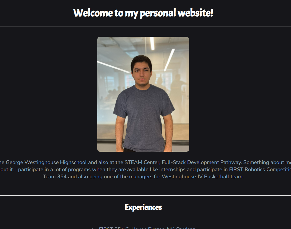 My current project which is this website itself